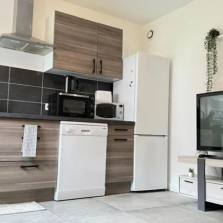 Apartman Superbe Avec Terasse Et Parking